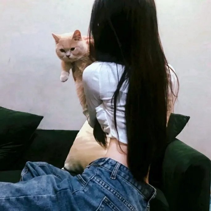 加密货币 在线观看