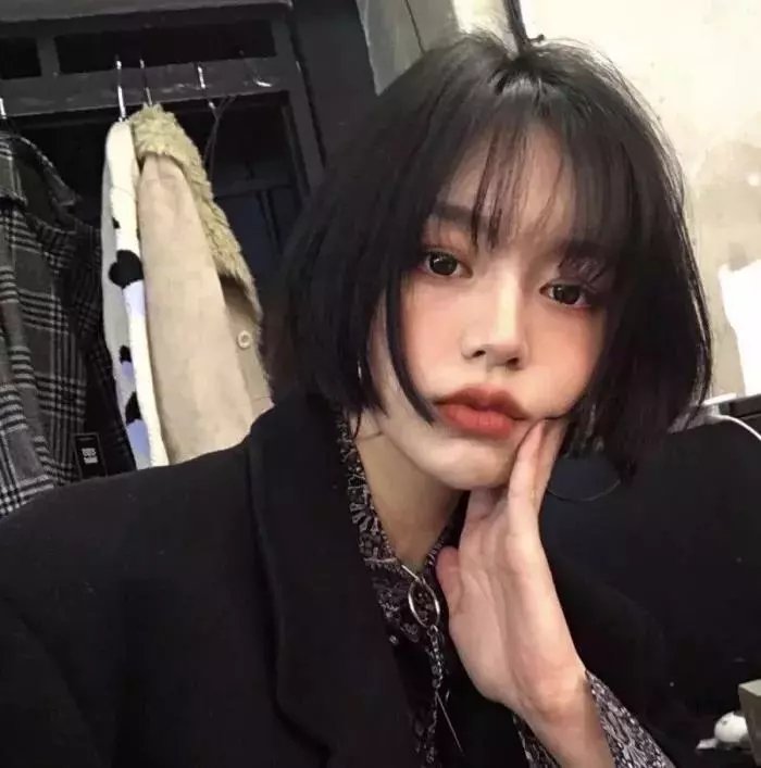 我的朋友是萌鲨 在线观看