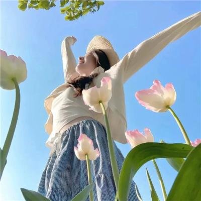 女王鲨 在线观看